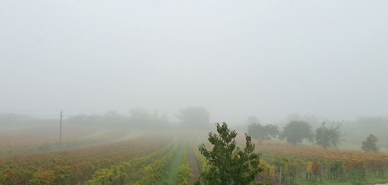 herbstnebel